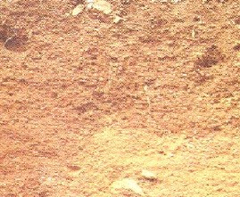 soil 4