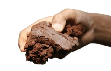 soil 2